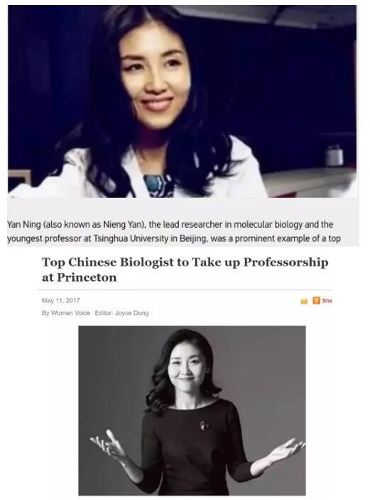 视频截图