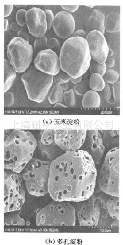 成分粉功效松花粉的作用_松花粉的主要成分_松花粉的功效成分