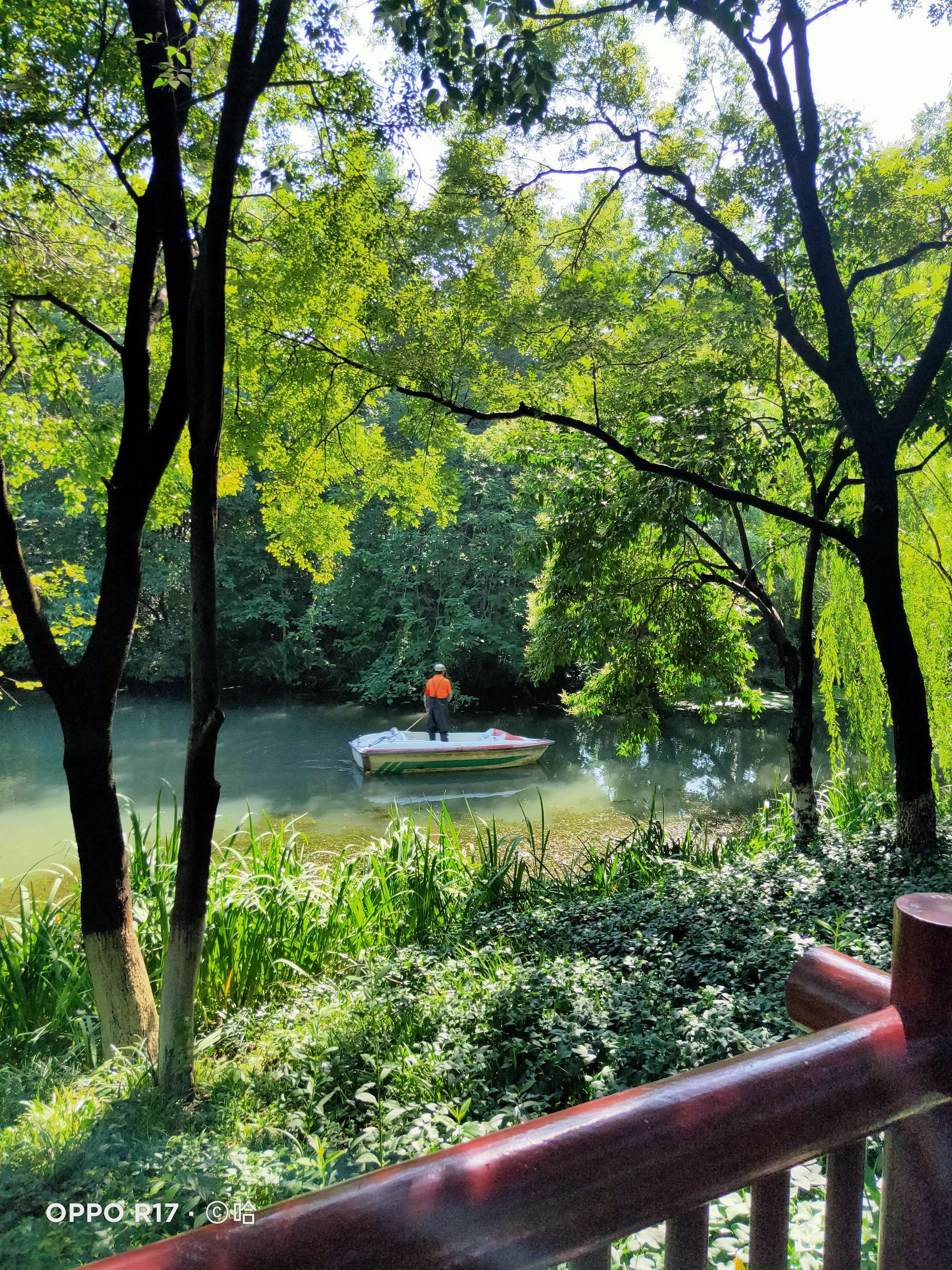常州公园壹号属于哪个区_常州公园壹号花园酒店_常州公园壹号