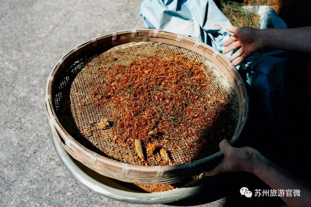 松花粉的成分表_松花粉的功效成分_成分粉功效松花粉的作用