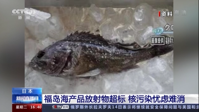 网络食品销售_食品销售网络经营管理办法_食品销售网络平台