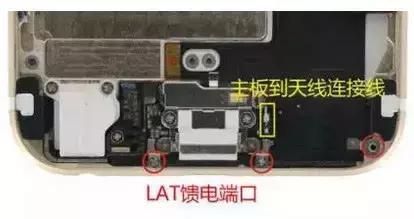 黑色的苹果_苹果5黑色外壳_黑色苹果叫什么品种名字