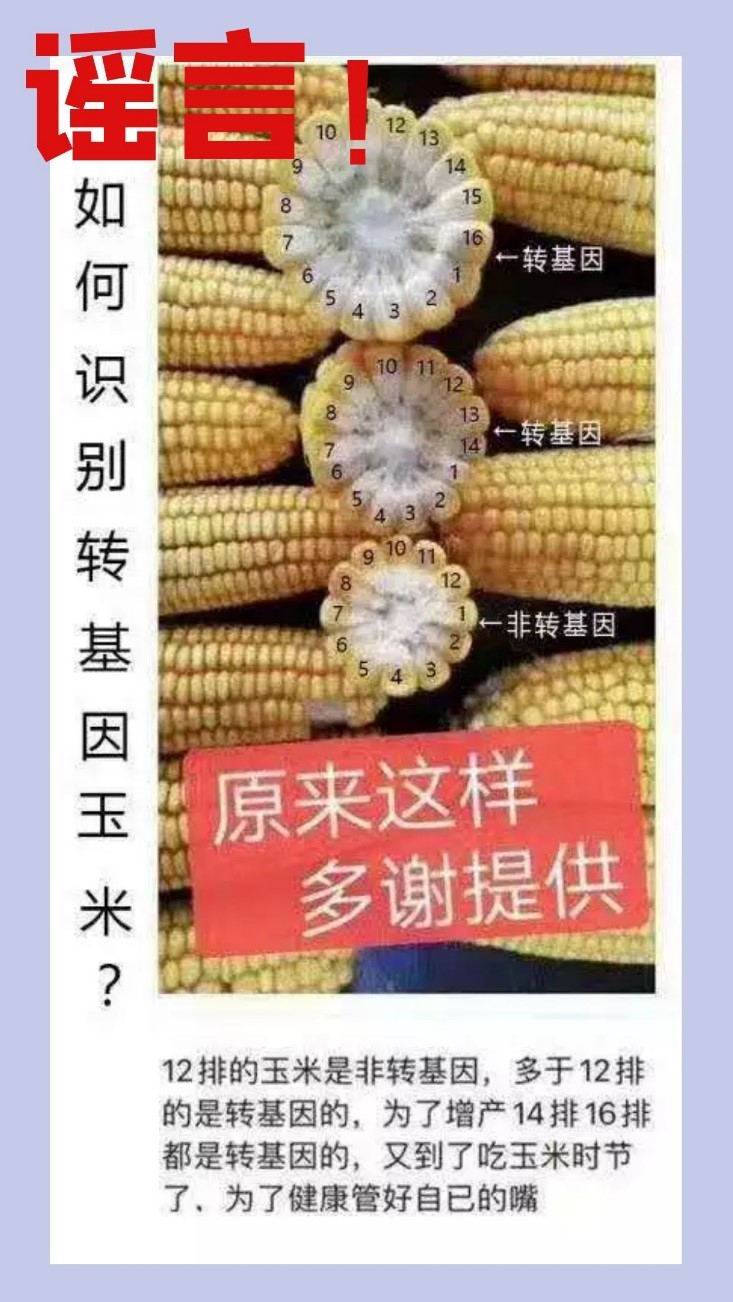转基因食品安全争议_转基因食品安全性的争论_食品安全转基因问题
