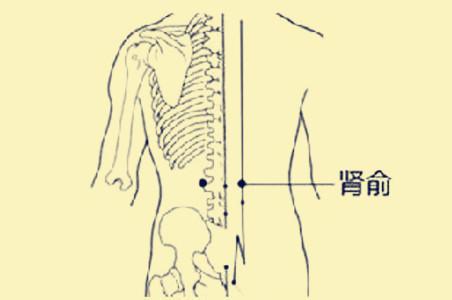 调理虚艾灸肾阳还是肾阴_艾灸调理肾阳虚_调理虚艾灸肾阳虚有用吗