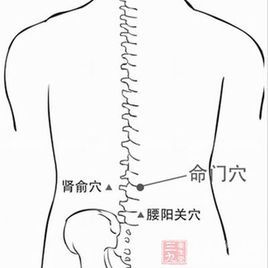 艾灸调理肾阳虚_调理虚艾灸肾阳还是肾阴_调理虚艾灸肾阳虚有用吗