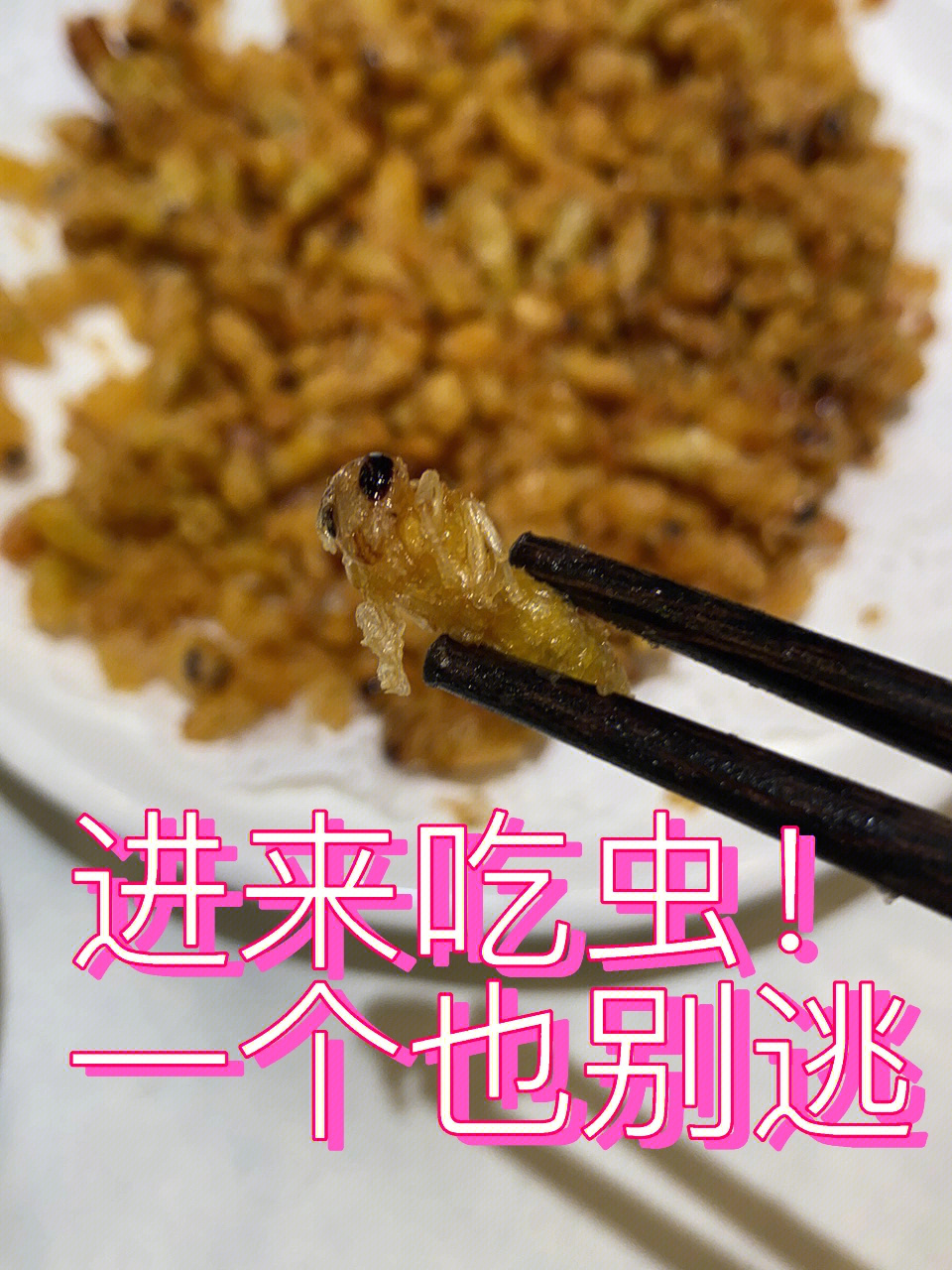 活珠子和旺鸡蛋_活珠子和旺鸡蛋_活珠子和旺鸡蛋