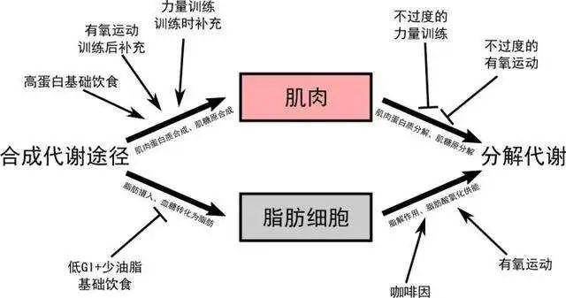 仪器减肥美容有效果吗_减肥美容仪器_仪器减肥美容仪有用吗