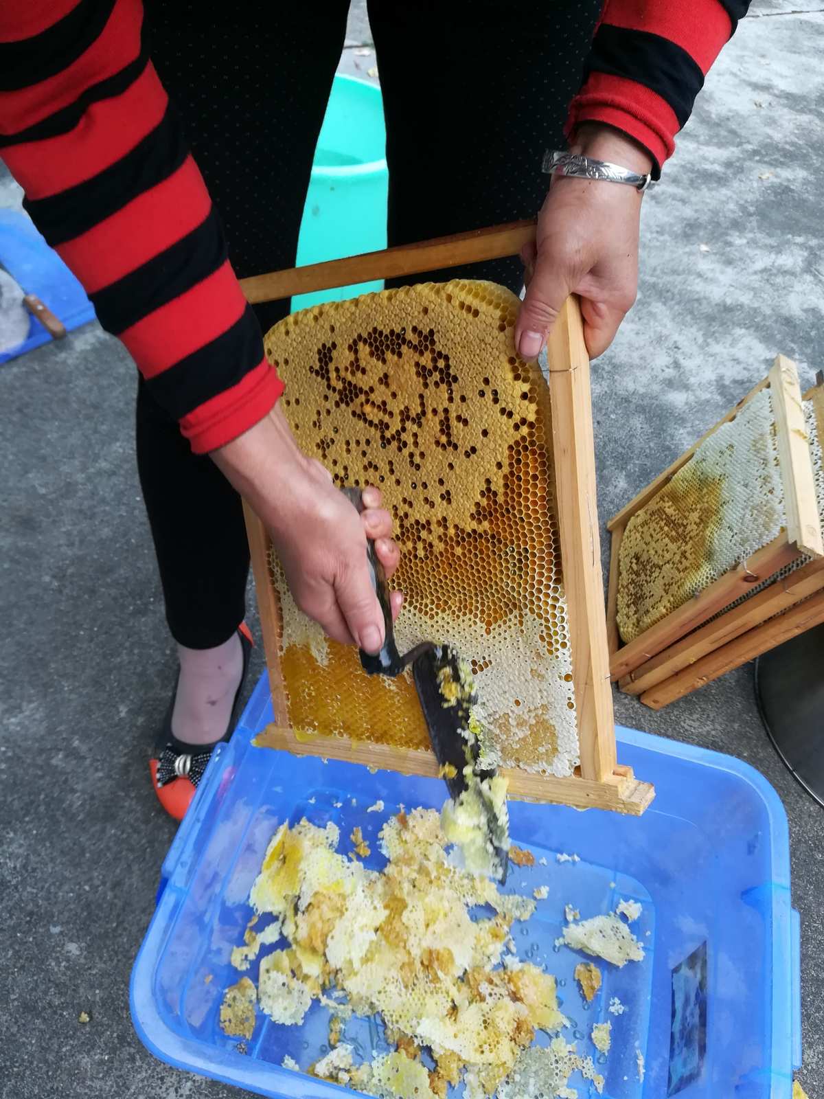 吃蜜蜂蜡有什么好处_吃槽蜜需要去蜂蜡吗_槽蜜吃蜂蜡需要去籽吗