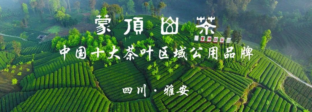 茶叶推广软文_茶叶推广文案_如何推广茶叶
