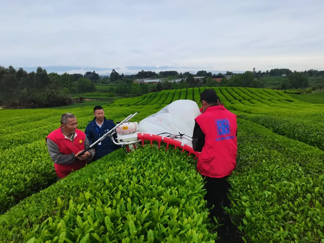 茶叶推广软文_如何推广茶叶_茶叶推广文案