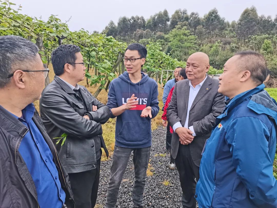 如何推广茶叶_茶叶推广软文_茶叶推广文案