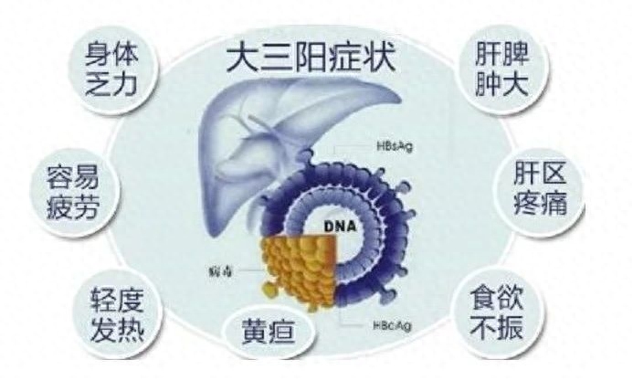 调理乙肝三阳大药有哪些_乙肝大三阳怎么调理_乙肝大三阳中药调理