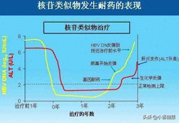 调理乙肝三阳大药有哪些_治乙肝大三阳偏方_乙肝大三阳怎么调理