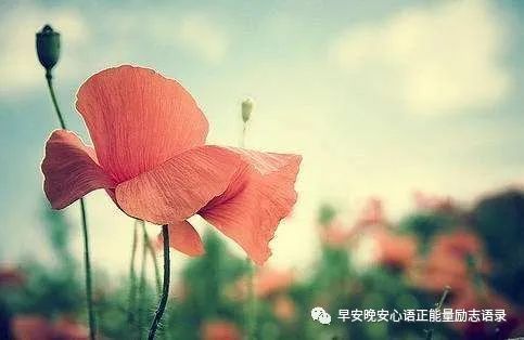 九月开头的一句话_九月开头的一句话_九月开头的一句话