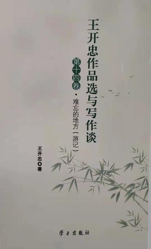 爱国通讯稿以学生的角度_爱国通讯稿600字_爱国故事以通讯为体裁