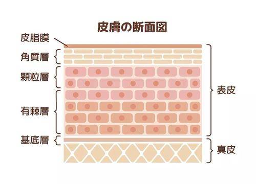 天生敏感肌肤怎么调理_天生敏感肌肤怎么调理_天生敏感肌肤怎么调理