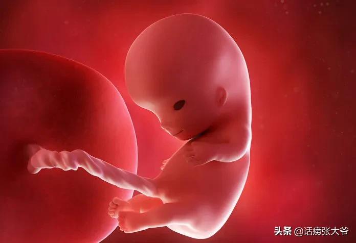 怀孕5个月胎动感觉_孕五月胎动是什么感觉_孕5月胎动感觉