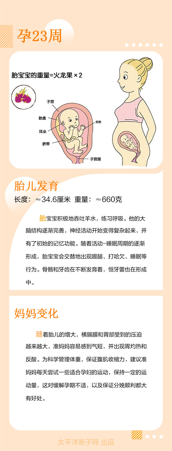 孕5月胎动感觉_怀孕5个月胎动感觉_孕五月胎动是什么感觉