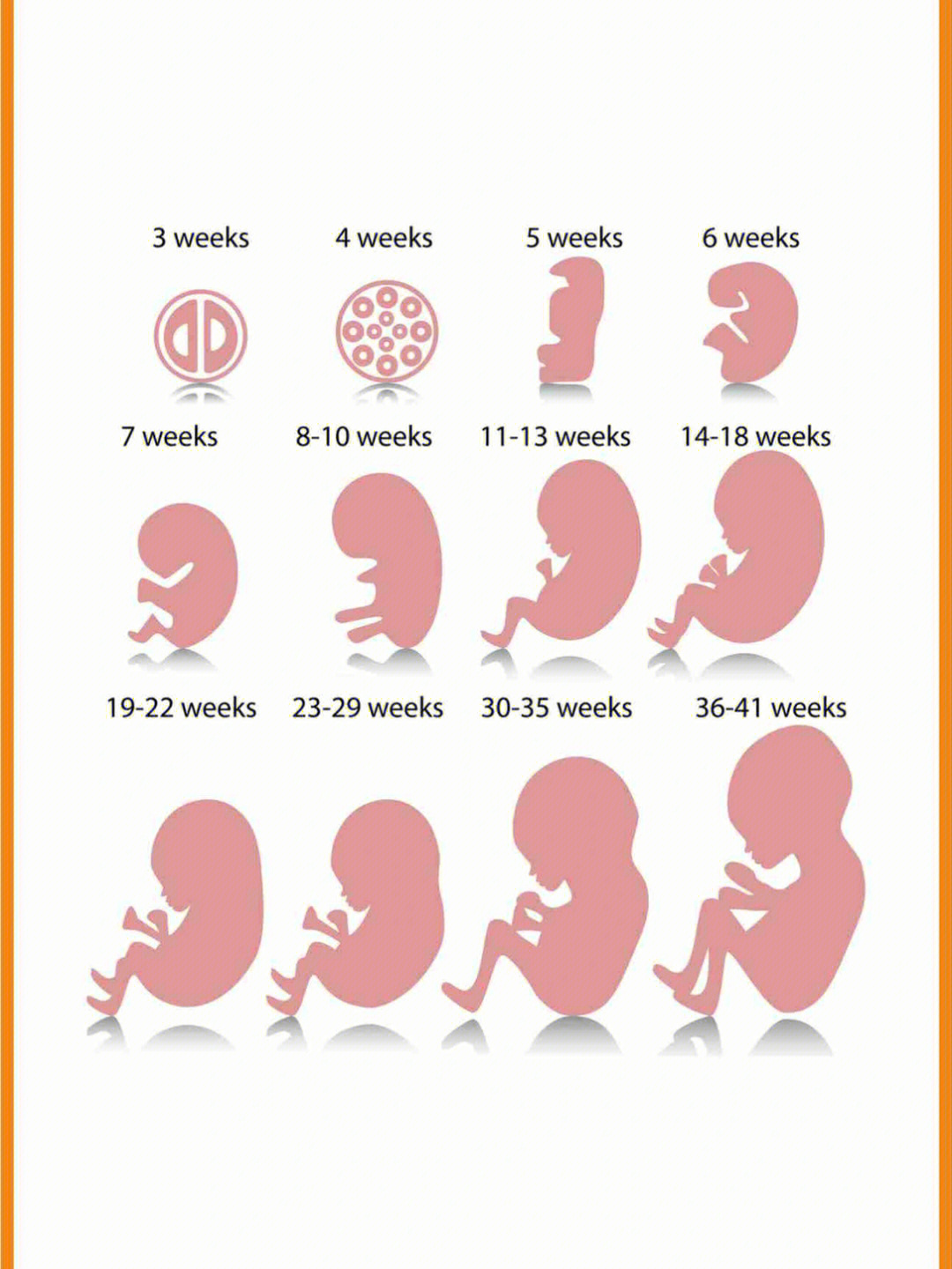 孕五月胎动很明显_孕5月胎动像震动_孕五月胎动是什么感觉