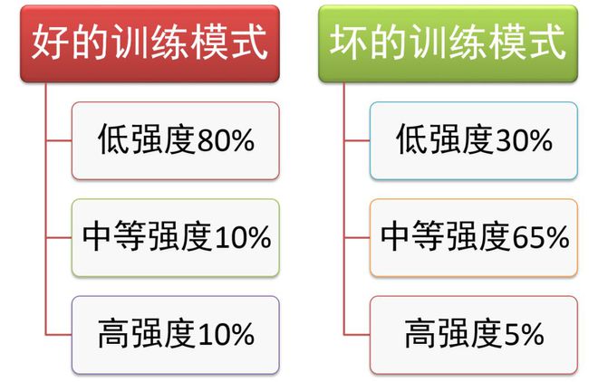 曾肌肉粉怎么吃_肌肉粉有什么作用_肌肉粉桶