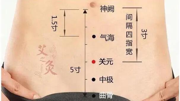 艾灸长胖了是什么原因_艾灸增肥艾灸了三个月_想增肥艾灸哪里