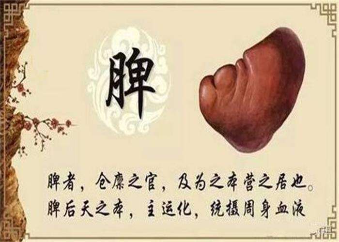 肝火旺怎么办怎么调理_调理肝火旺盛_调理肝火旺的中成药