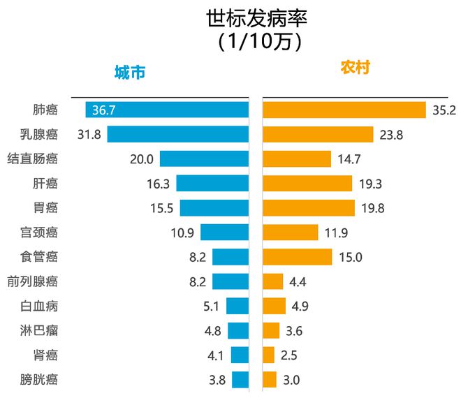 化学致癌物质氡气_化学致癌物质_化学致癌物质和生物致癌物质