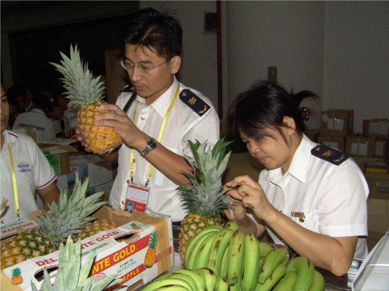 食品进口运输_运输进口食品怎么处罚_运输进口食品税率多少