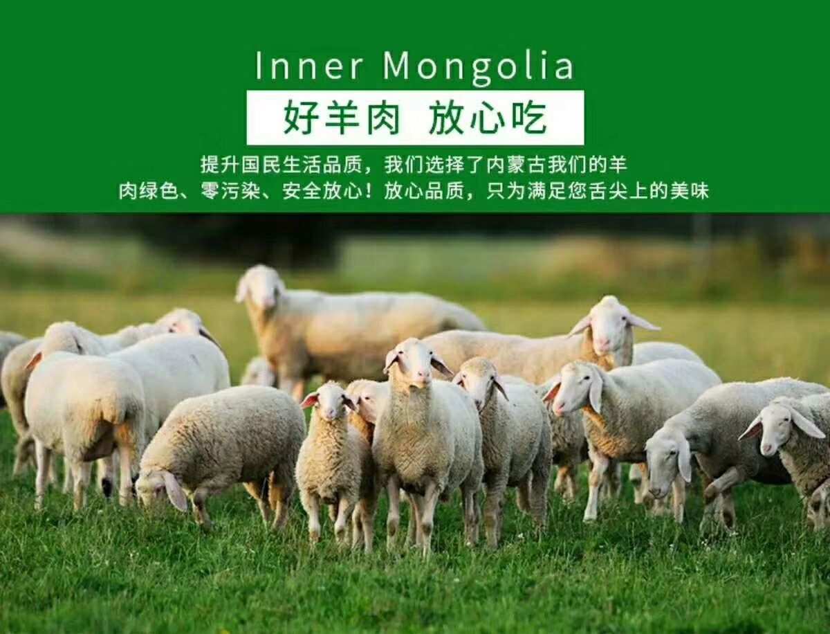 内蒙牛羊肉展会时间_2023内蒙古牛羊肉大会_内蒙古牛羊肉展