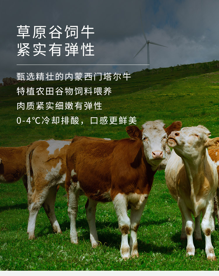 内蒙古牛羊肉展_内蒙牛羊肉展会时间_2023内蒙古牛羊肉大会