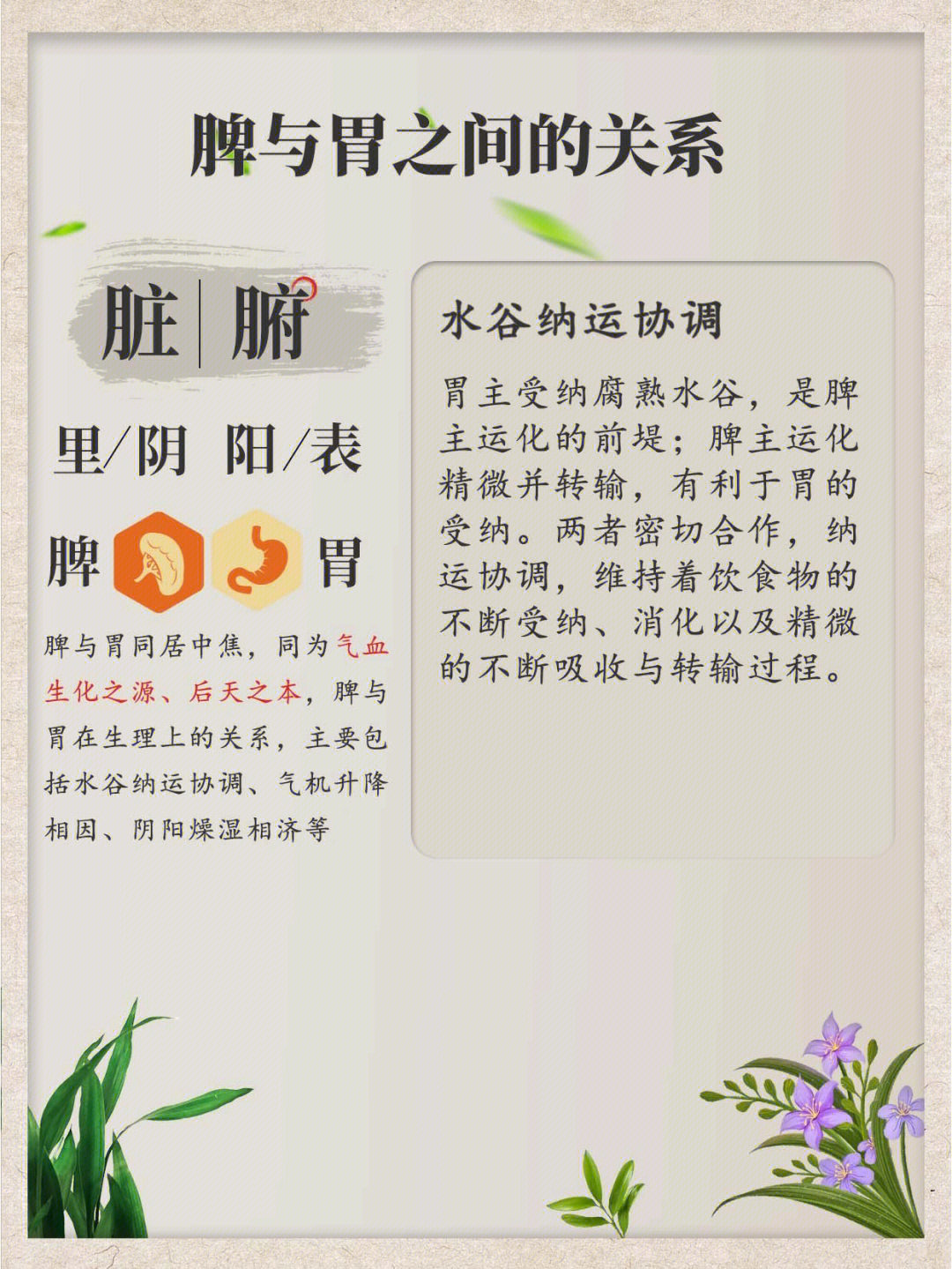 调理湿气脾虚吃什么药_脾虚湿气重怎么调理_调理湿气脾虚的中药