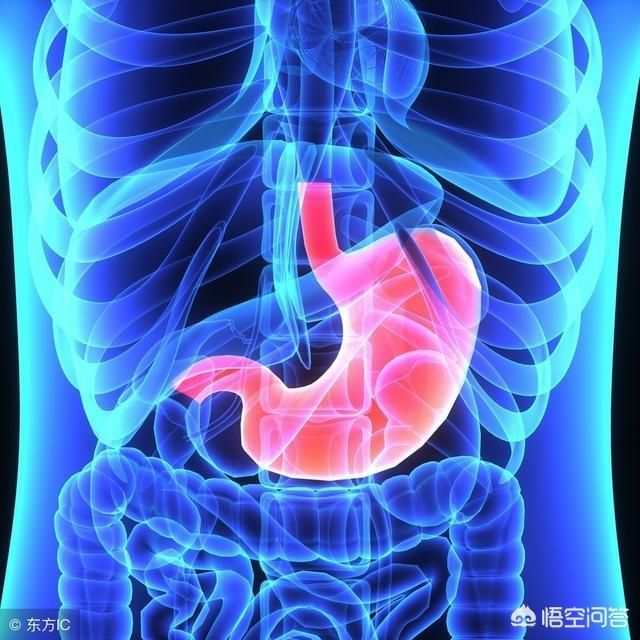 调理湿气脾虚吃什么药_调理湿气脾虚的中药_脾虚湿气重怎么调理