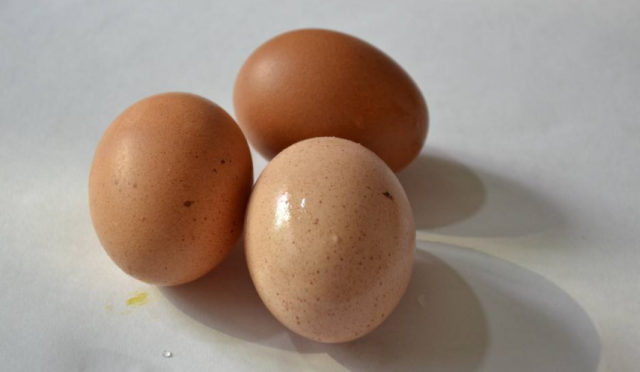 假鸡蛋的制作_假鸡蛋制作流程_用假鸡蛋做手工