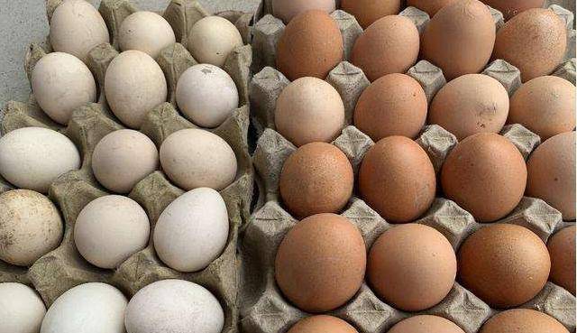 假鸡蛋的制作_用假鸡蛋做手工_假鸡蛋制作流程