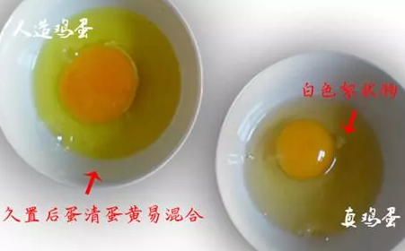 制作假鸡蛋视频_用假鸡蛋做手工_假鸡蛋的制作