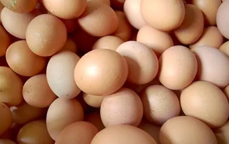 用假鸡蛋做手工_假鸡蛋的制作_制作假鸡蛋视频