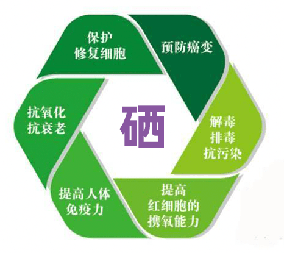 科学补硒健康中国8周年庆典_科学补硒的作用_科学补硒健康中国