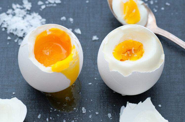 假鸡蛋的制作_假鸡蛋制作视频在线观看_用假鸡蛋做手工