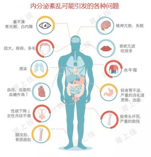 女孩子内分泌失调怎么调理_调理女人内分泌失调的中药方_调理女人内分泌失调吃什么药