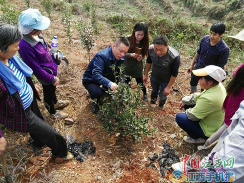 林业科技下乡调研报告_林业科技下乡调研报告怎么写_林业科技下乡调研报告总结