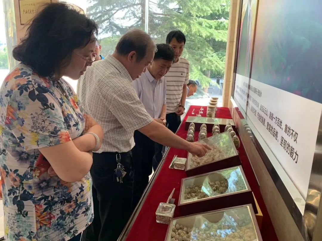 林业科技下乡调研报告_林业科技下乡调研报告总结_林业科技下乡调研报告怎么写