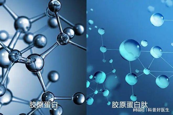 胶原蛋白护肤彩妆_护肤品胶原蛋白_胶原蛋白化妆品的功效与作用