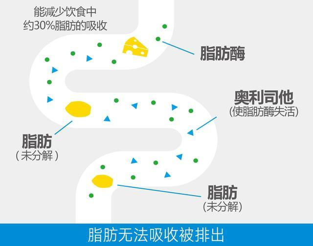 加快新陈代谢的减肥药副作用_代谢类减肥药_加快新陈代谢的减肥药的副作用