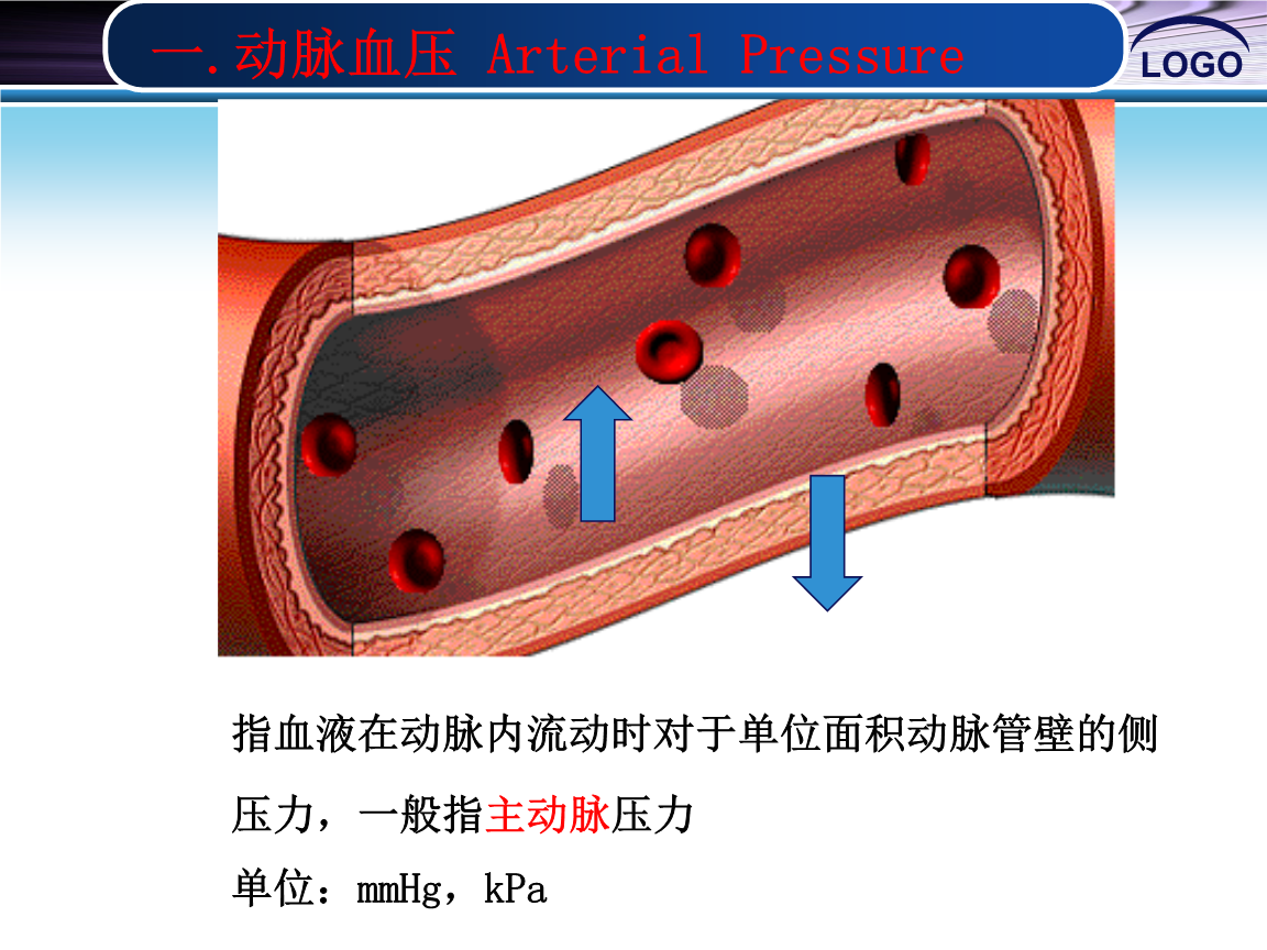 血管脑健康心得怎么写_讲脑心脑血管健康问题_心脑血管健康