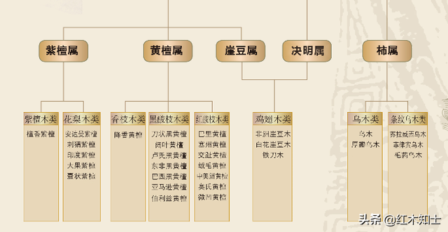 红木非洲木是酸枝木吗_非洲酸枝木是不是红木_红木家具非洲酸枝怎么样