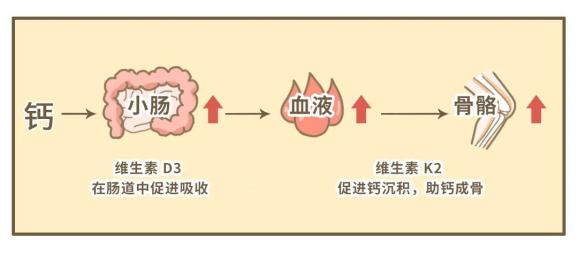 补太多的钙也不好吗_钙补多了会不好吗_钙补多了有没有坏处