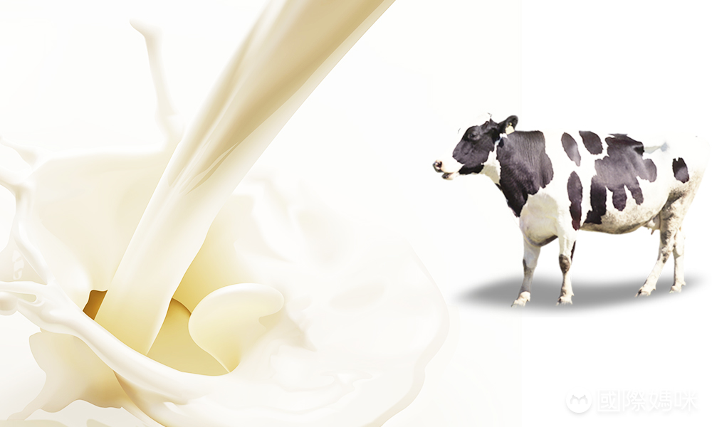 荷兰本土牛栏奶粉怎么样_荷兰牛栏奶粉是鲜奶还是原奶_荷兰牛栏奶粉溯源查询