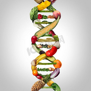 转基因食品安全文献_转基因食品安全性文献_有关转基因与食品安全的文章