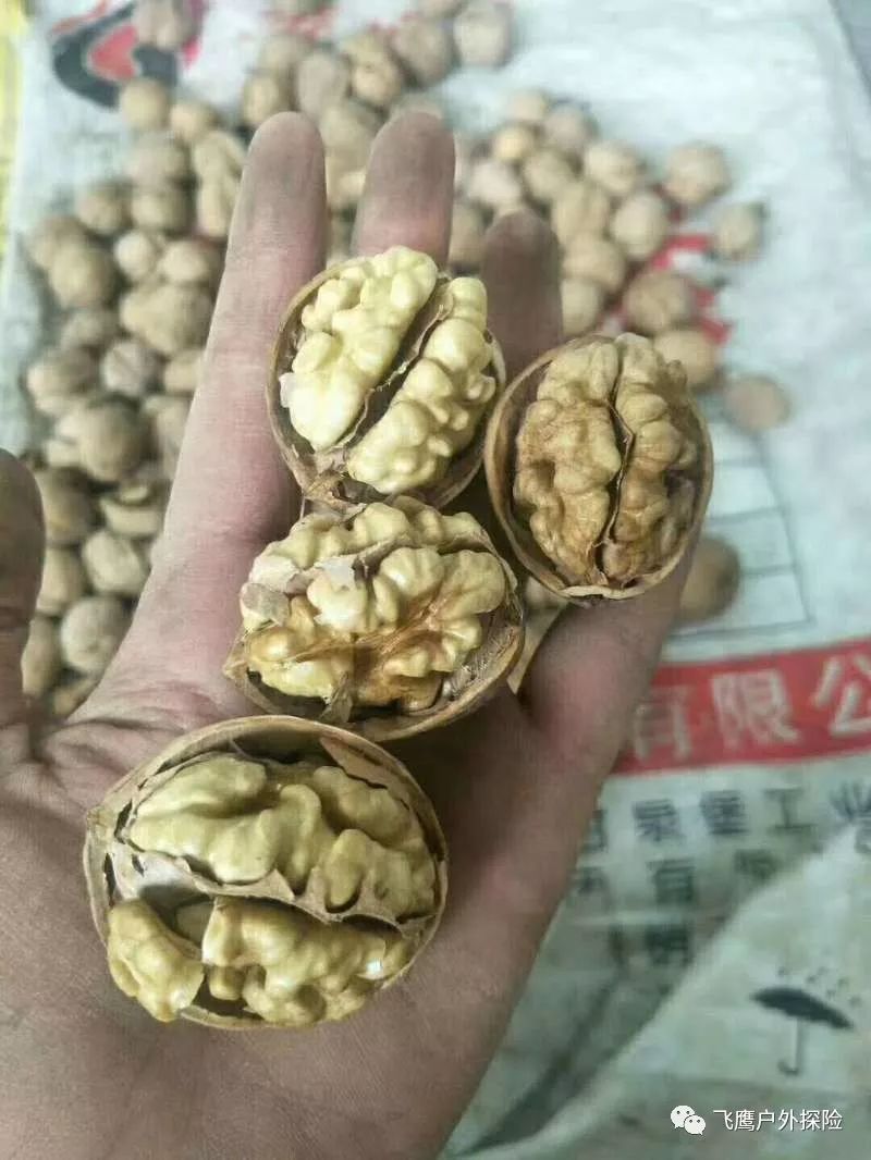 新疆特产干果价位_新疆土特产干果_新疆干果品种一览表
