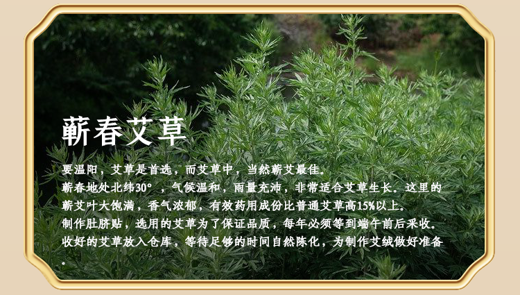 中药肚脐贴一次能贴几个方法图_中药贴肚脐有什么危害_中药贴肚脐管用吗